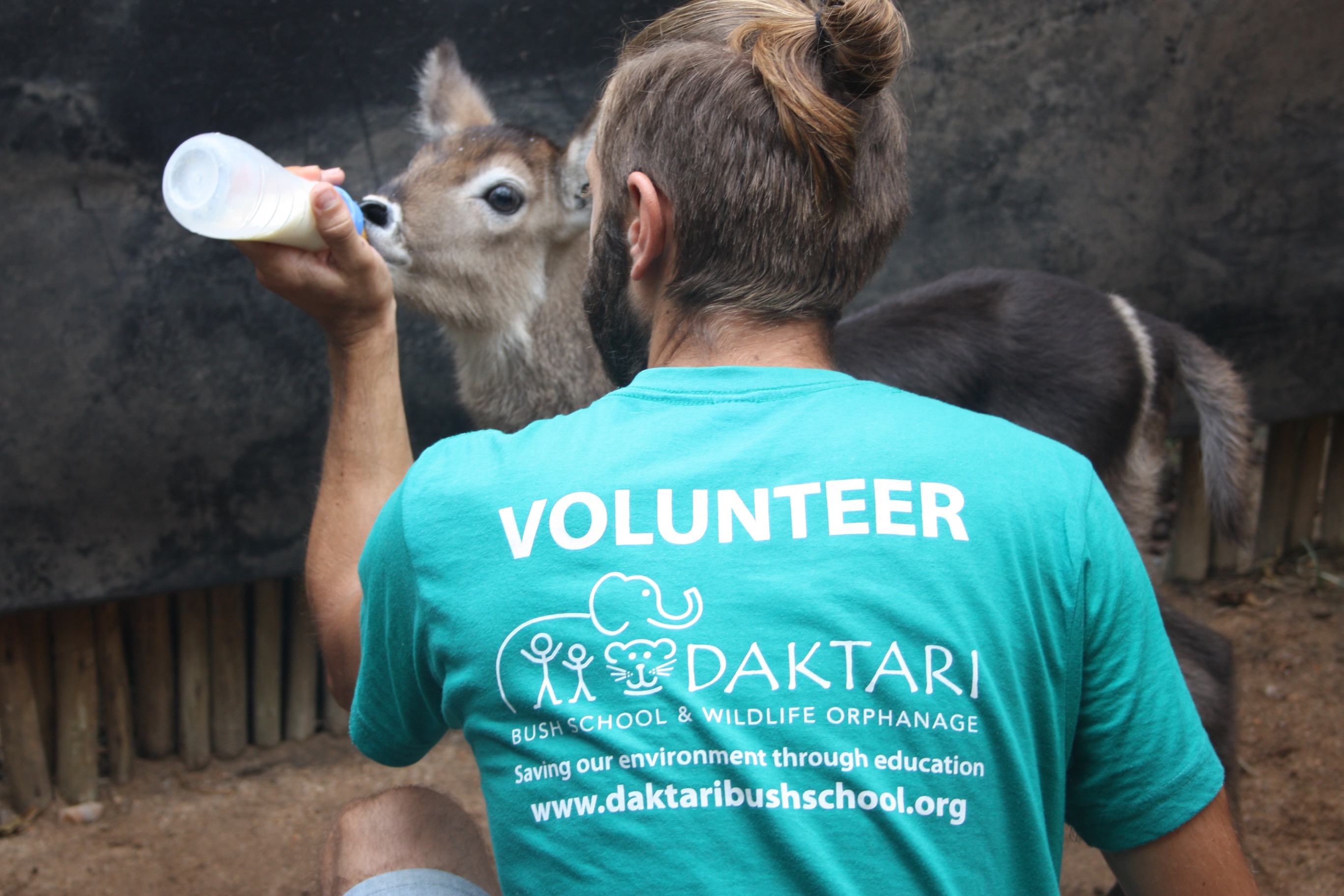 Daktari Bush School and Wildlife Orphanage
